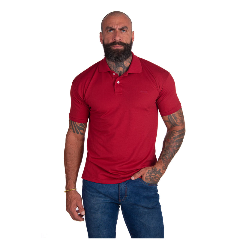 Kit 5 Camisas Polo Masculinas